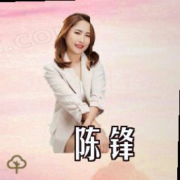 陈锋